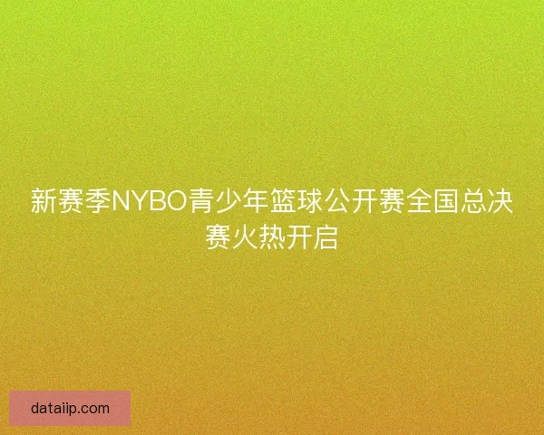 新赛季NYBO青少年篮球公开赛全国总决赛火热开启